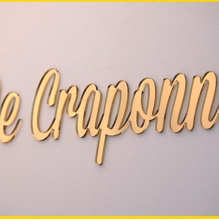 Le Craponne - Magnifique Appartement Cours Principal Plein Centre Avec Parking 살롱드프로방스 외부 사진