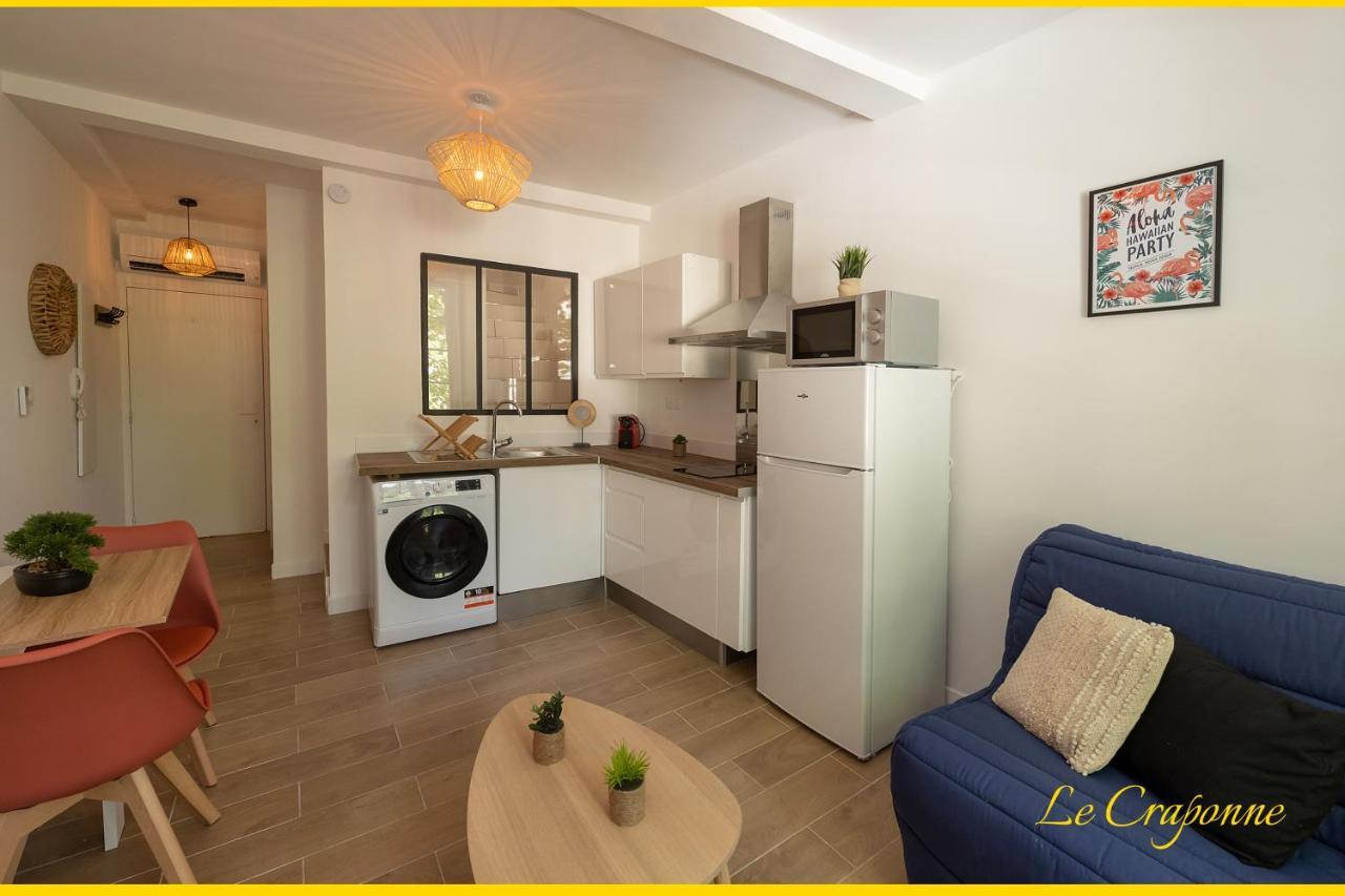 Le Craponne - Magnifique Appartement Cours Principal Plein Centre Avec Parking 살롱드프로방스 외부 사진