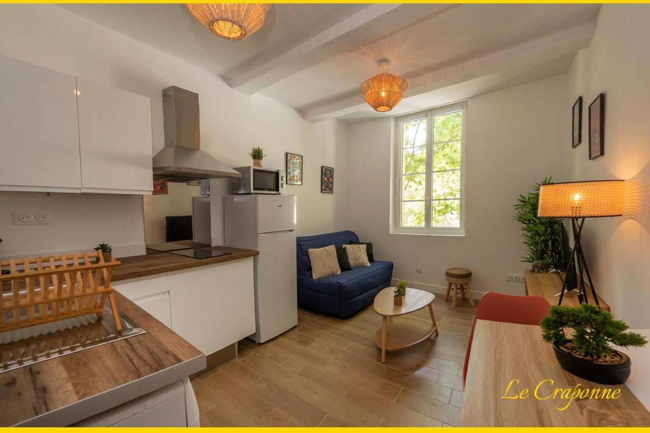 Le Craponne - Magnifique Appartement Cours Principal Plein Centre Avec Parking 살롱드프로방스 외부 사진